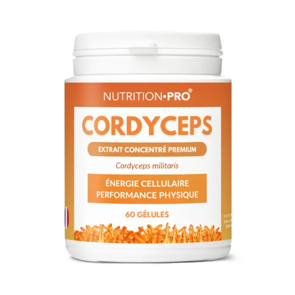 Cordyceps militaris 1800 mg - 60 gél.