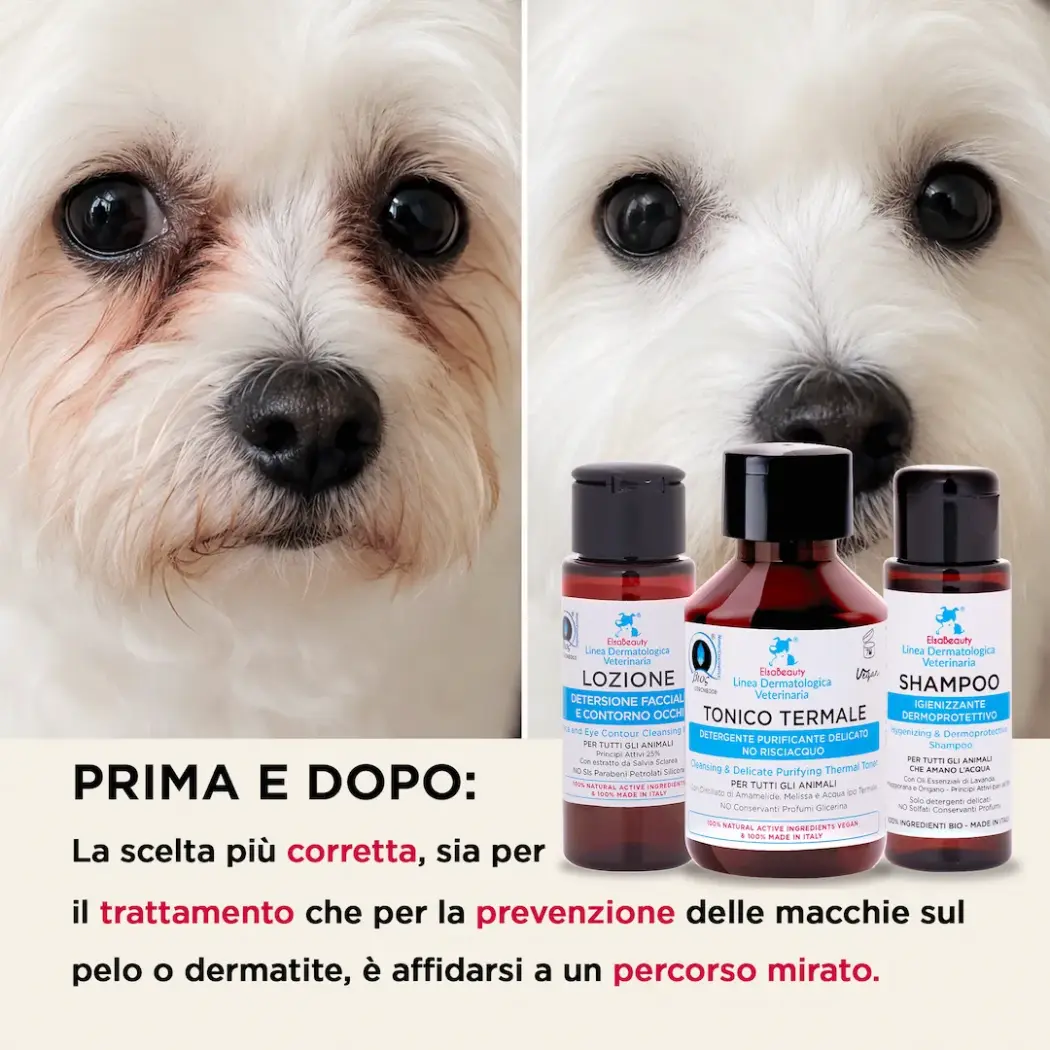 KIT d'Hygiène Quotidienne - Chiens & Chats — ElsaBeauty
