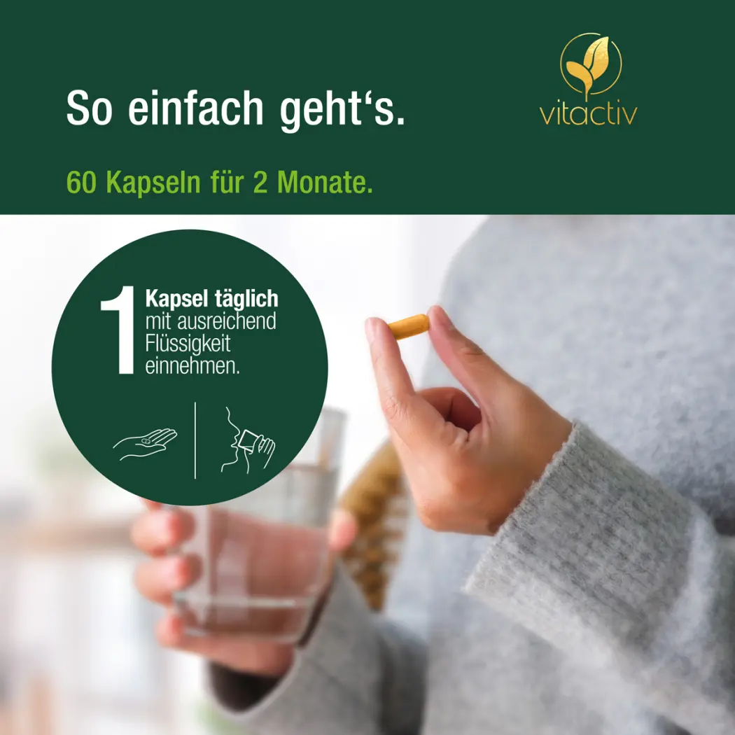 Vitactiv CURCUMA KOMPLEX — Green Future E-Commerce GmbH