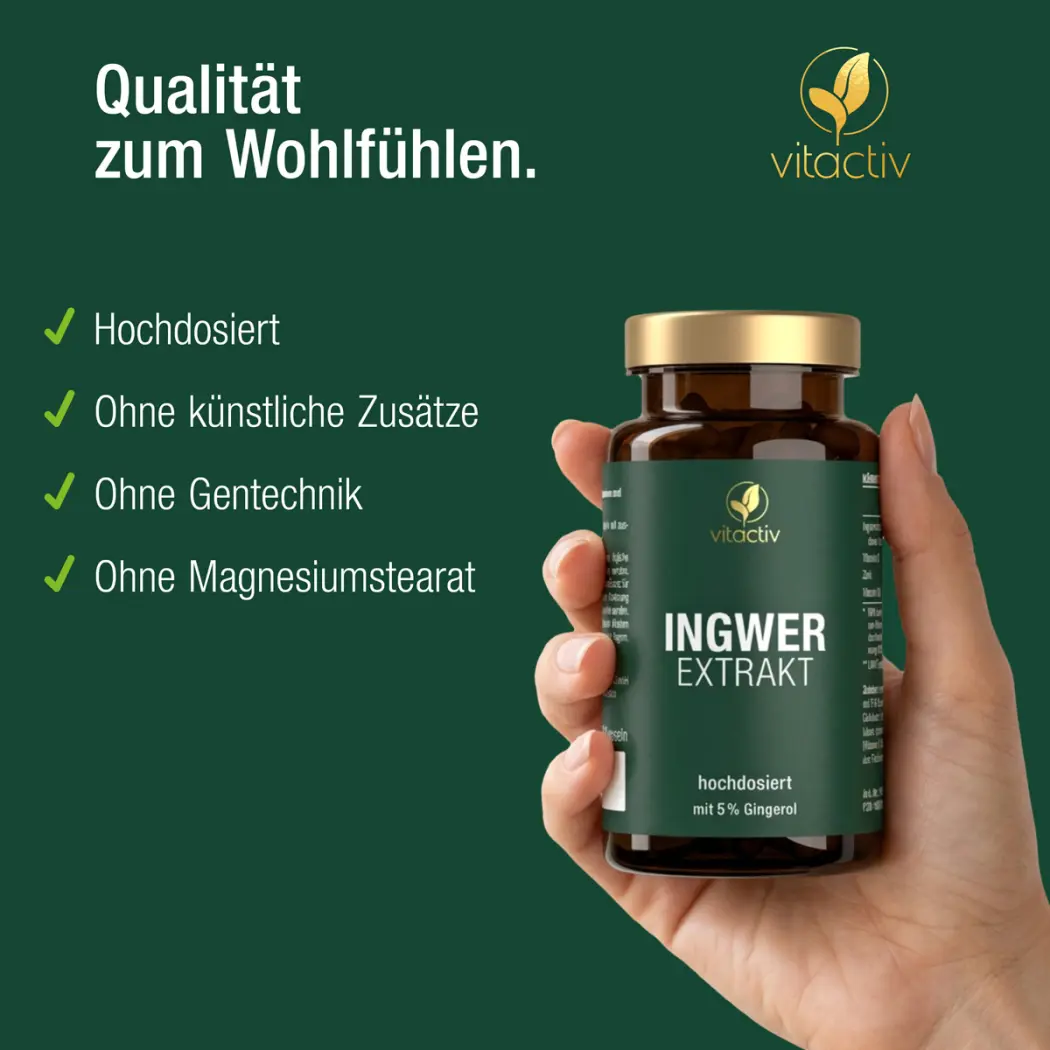 Vitactiv INGWER Extrakt — Green Future E-Commerce GmbH
