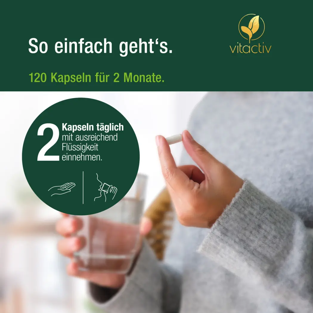 Vitactiv MARIENDISTEL Komplex — Green Future E-Commerce GmbH
