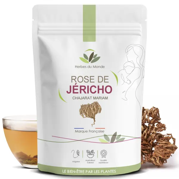 Rose de Jéricho (Anastatica hierochuntica) – 25 g