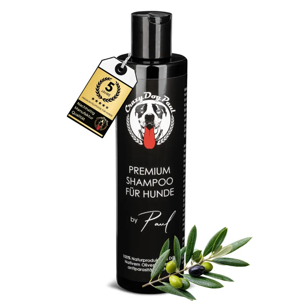 CrazyDogPaul Premium Hundeshampoo – Stoppt Juckreiz, versorgt die Haut mit Fechtigkeit,natürlich, vegan, mit extra nativem Olivenöl, Vitamin E & Antioxidantien (250ml) — CrazyDogPaul