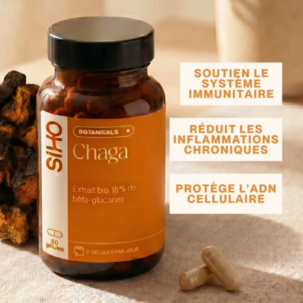 Chaga - Immunabwehr — Siho