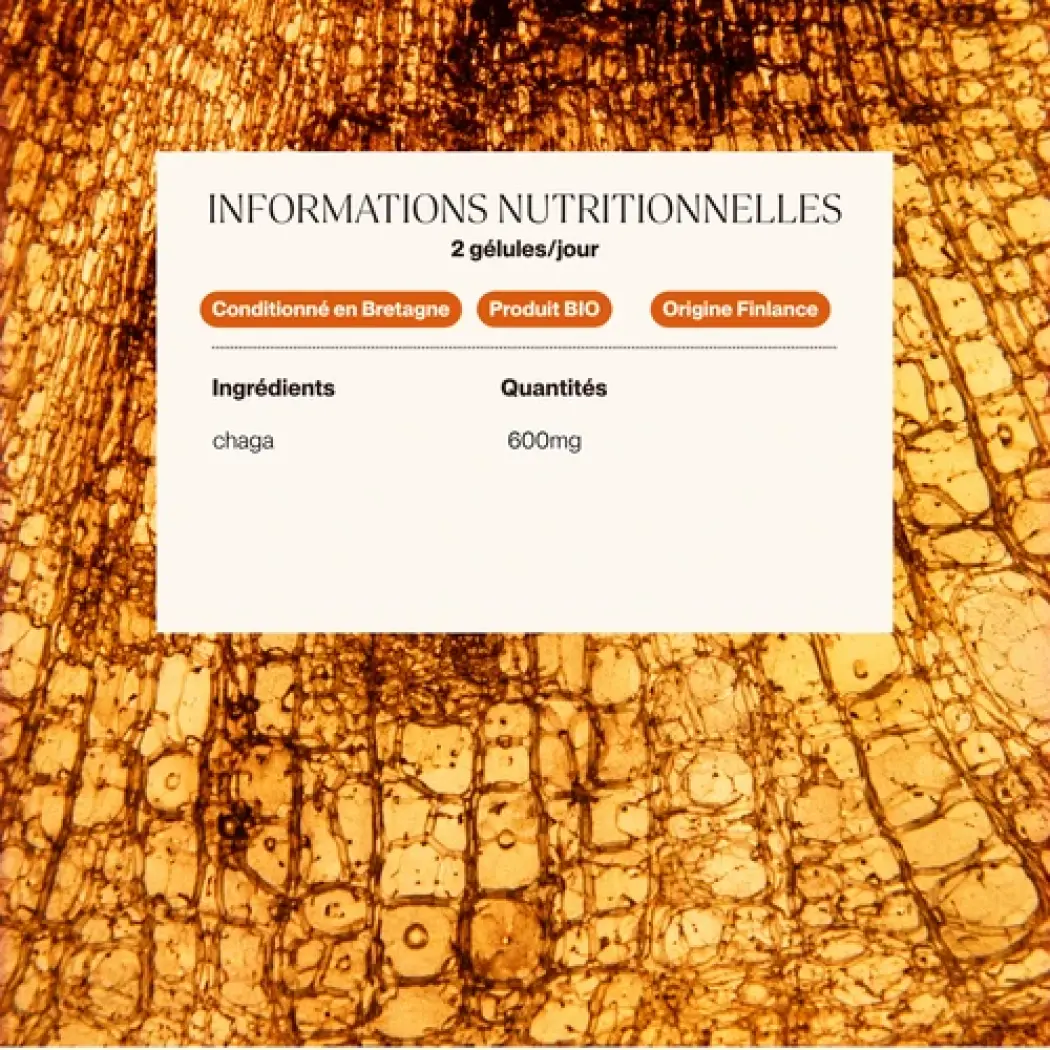 Chaga - Immunabwehr — Siho