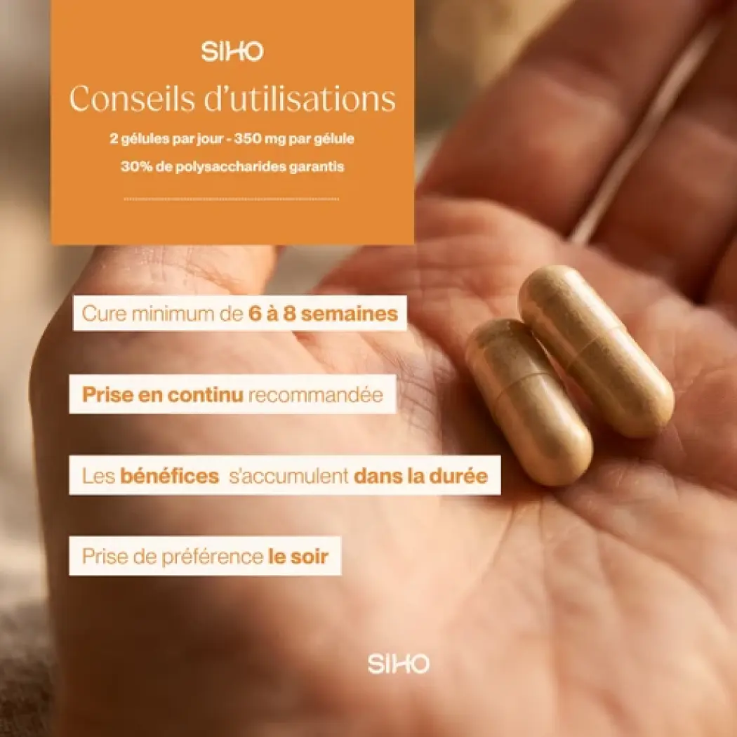 Reishi - Énergie & Immunité — Siho