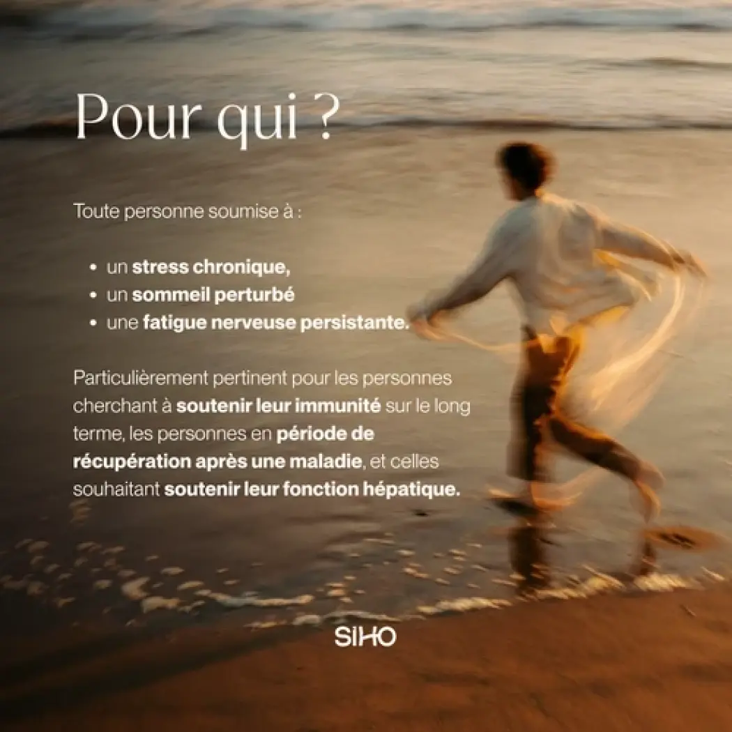 Reishi - Énergie & Immunité — Siho