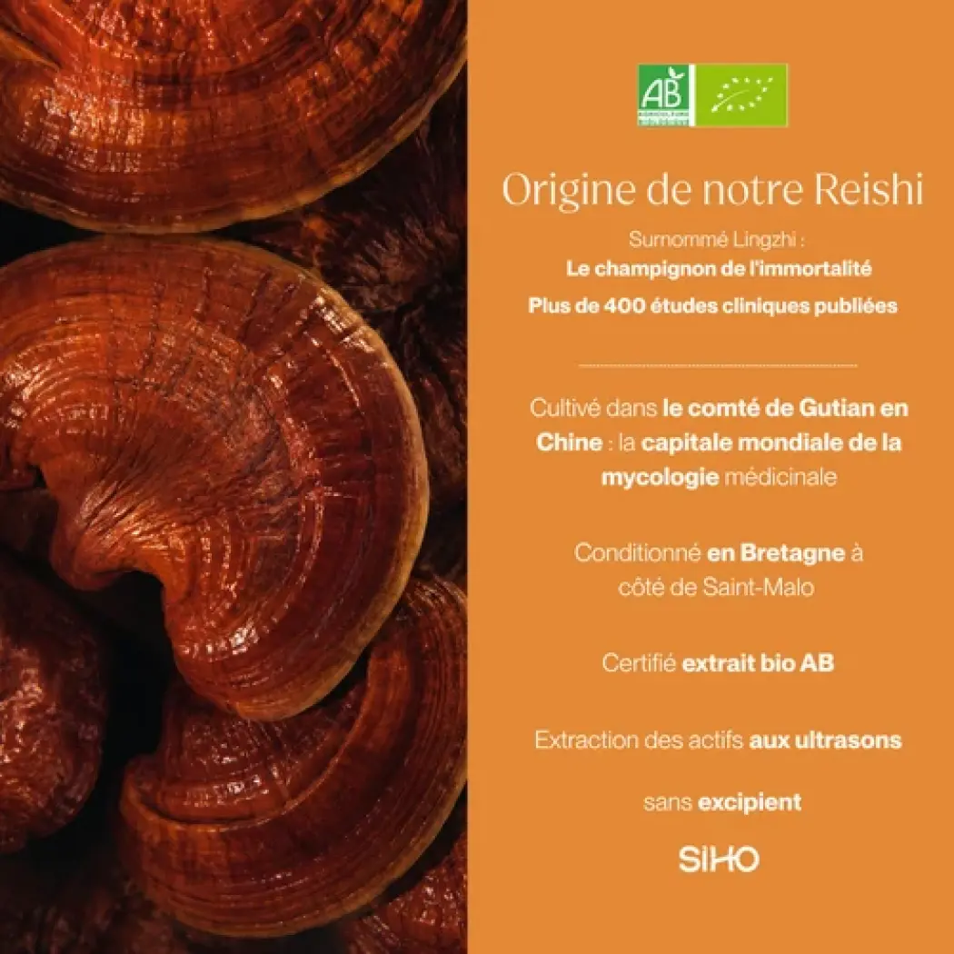 Reishi - Énergie & Immunité — Siho