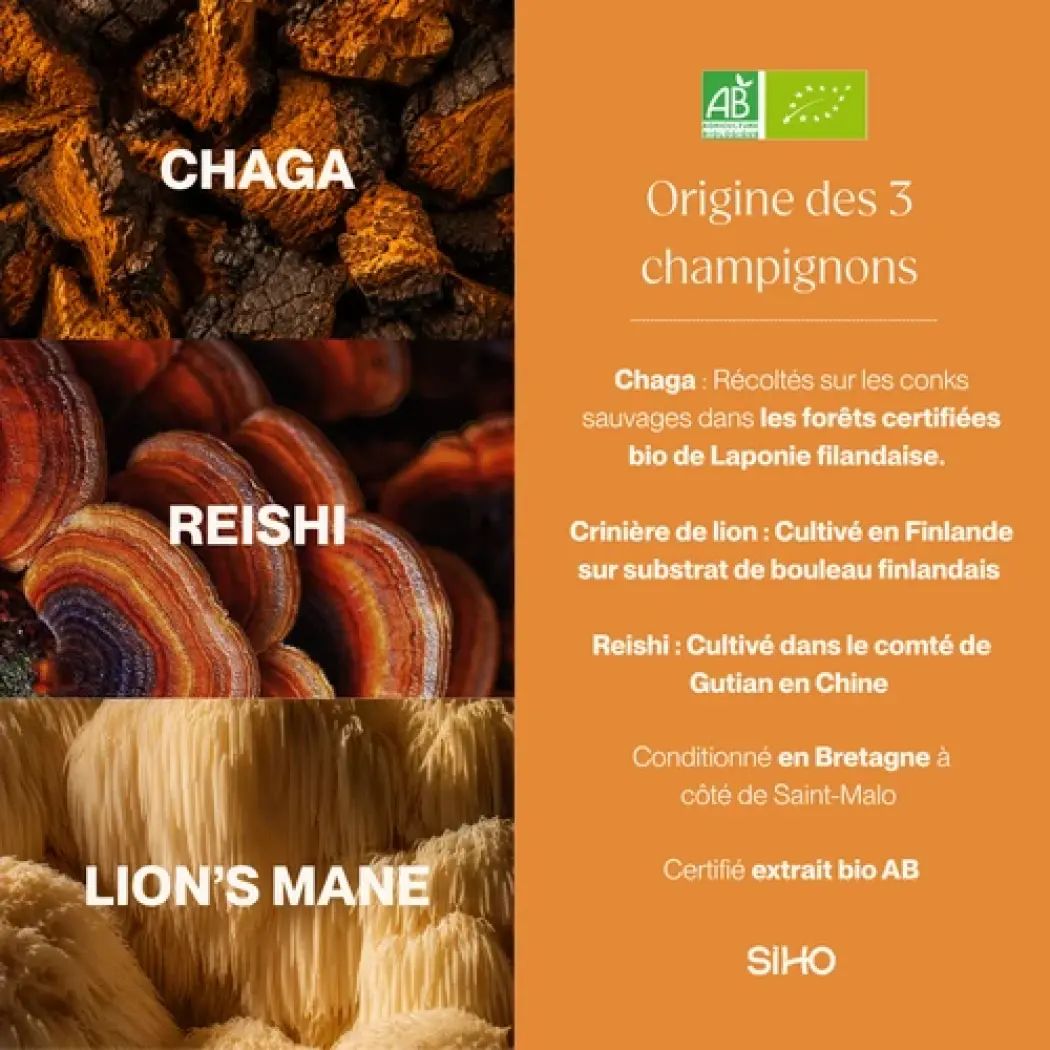 BIO-3-Pilz-Komplex: Reishi, Chaga, Löwenmähne — Siho
