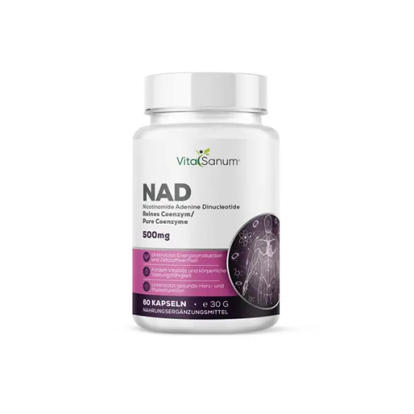 NAD 1000 mg – 60 gélules