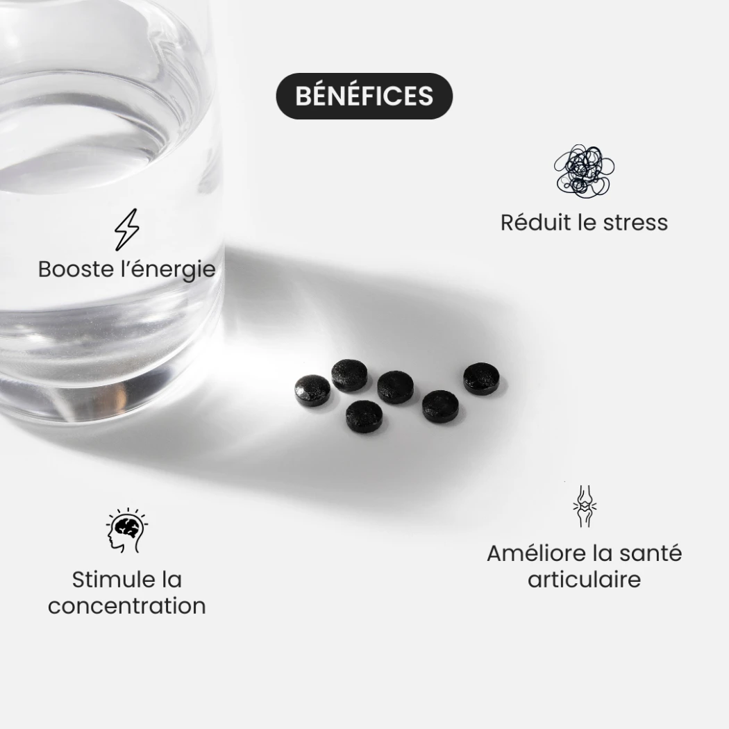 Shilajit pur d'Altaï - 60 comprimés — Primal Supplements