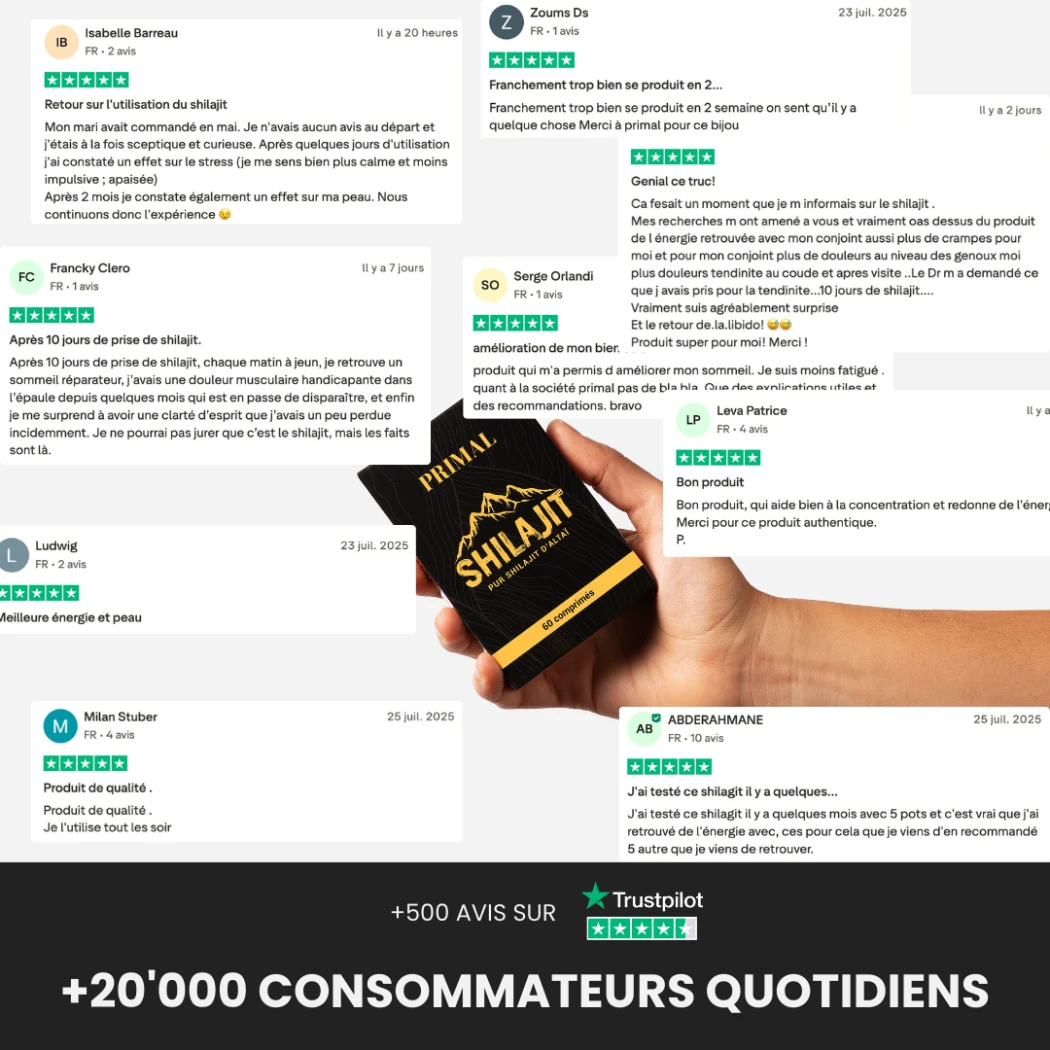 Shilajit pur d'Altaï - 60 comprimés — Primal Supplements