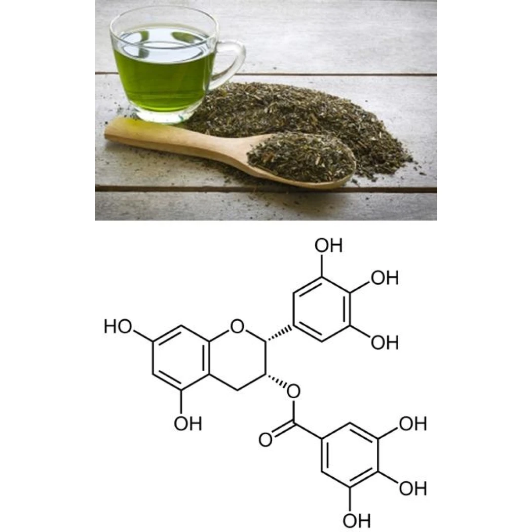 EGCG Thé Vert 350 mg – 240 gélules — LifeSpan Plus