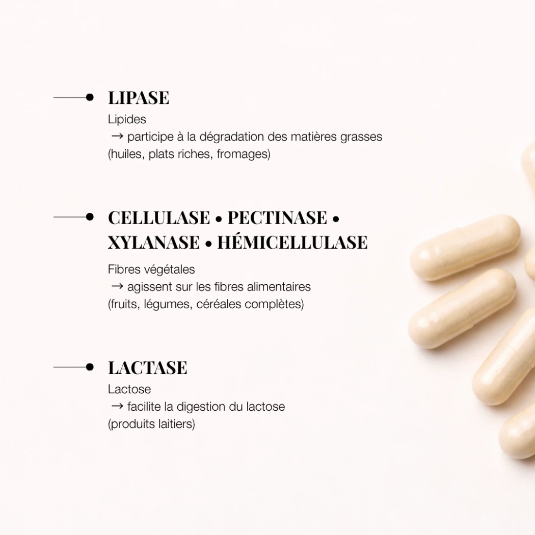 Enzymes digestives 10 enzymes, choline et carvi - 60 gélules — Ginette et Josiane