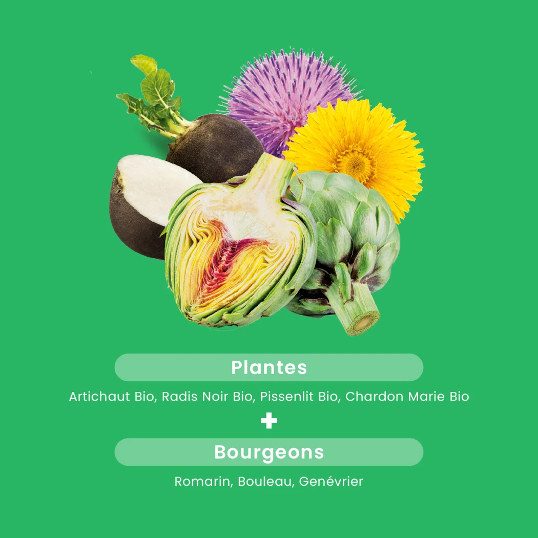 Wohlbefinden der Leber Bio — Santarome Bio