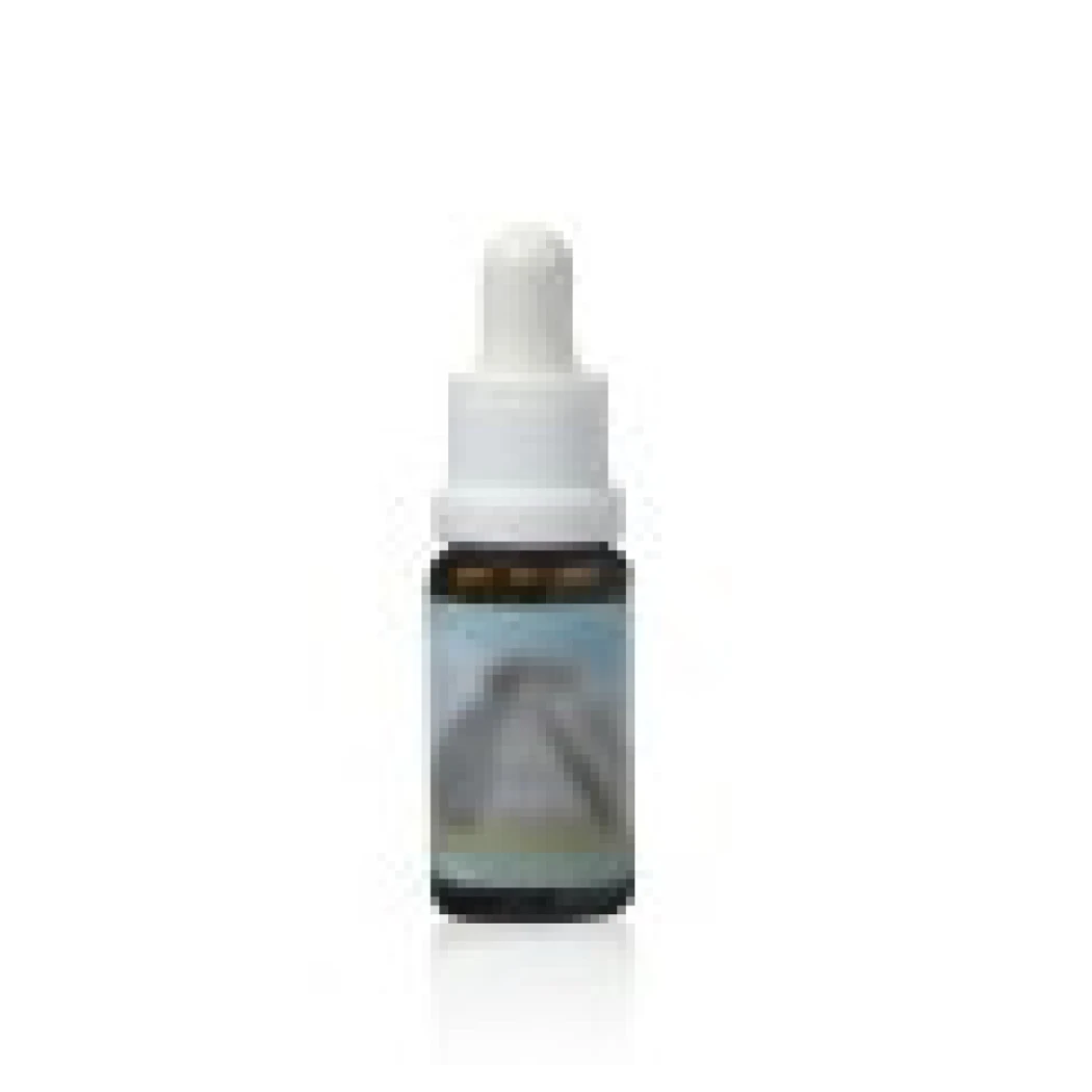 Schwedenbitter Elixier 350ml — Source Claire