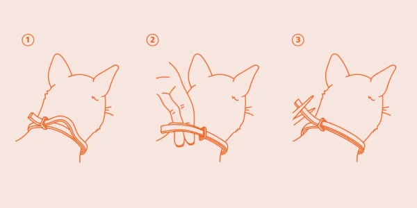 Collier Antiparasitaire Icaridine - Chaton et Chat
