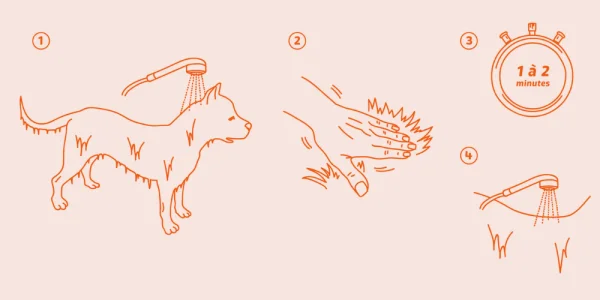 Shampooing Antiparasitaire Icaridine - Chien et Chat