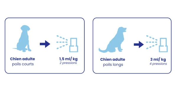Lotion Antiparasitaire Icaridine - Chien et Chat
