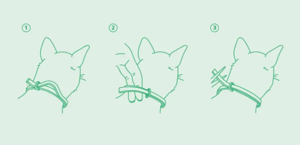 Collier Antiparasitaire Actif Origine Végétale - Chaton et Chat