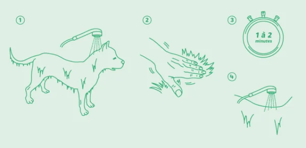 Shampooing Actifs Origine Végétale - Chien et Chat
