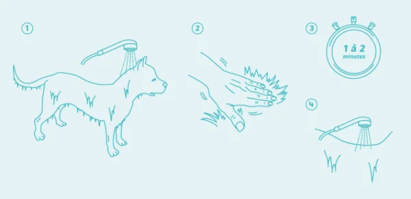 Shampooing Tous Pelages - Chien et Chat