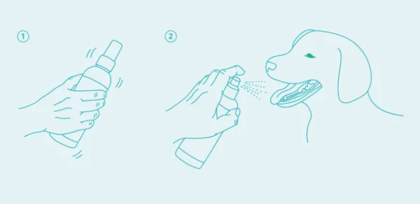 Lotion Dentaire Actifs Origine Végétale - Chien et Chat