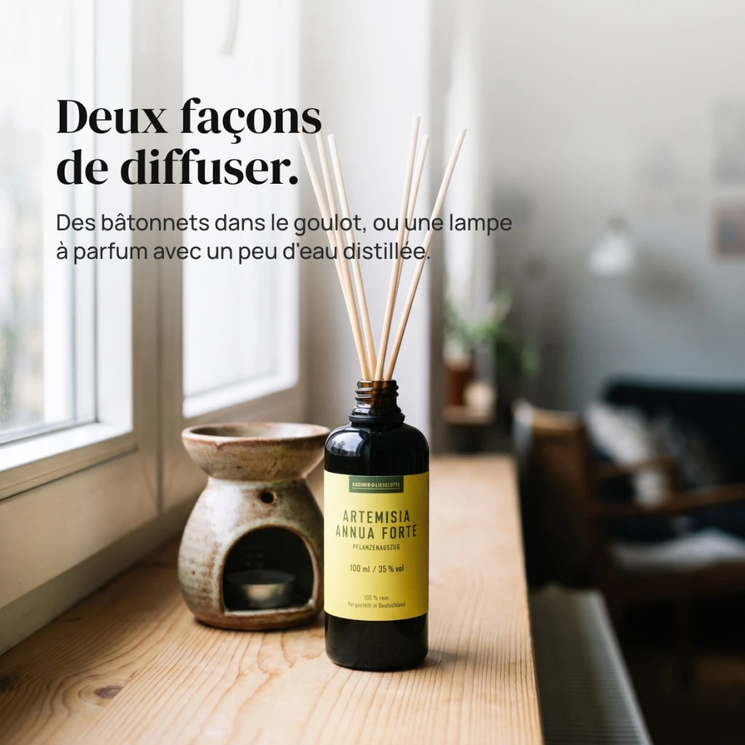 Extrait d'armoise annuelle Forte - parfum d'ambiance 500 ml — Kasimir + Lieselotte