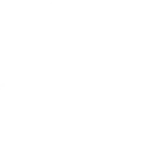 footerlogo