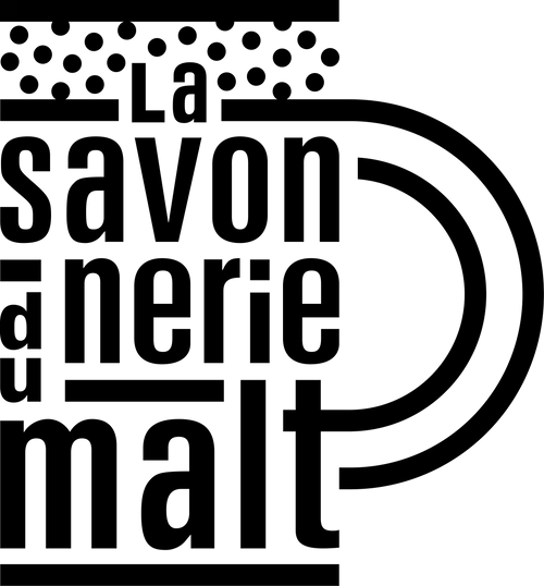 logo-LSDM
