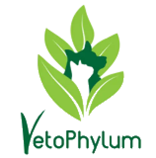 Vetophylum