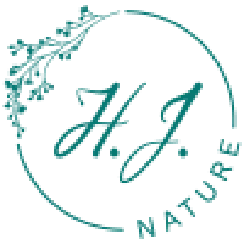 logo-1644510358