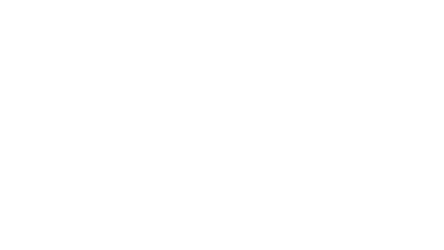 AINMHI_main_white