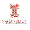 PT Naga Semut