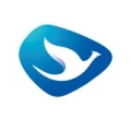 Blue Bird Group