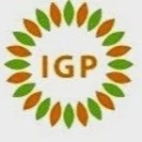 IGP International
