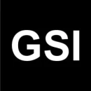 GSI Group LLC