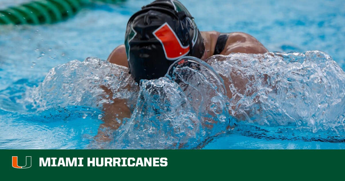 Swimming Diving University Of Miami Athletics