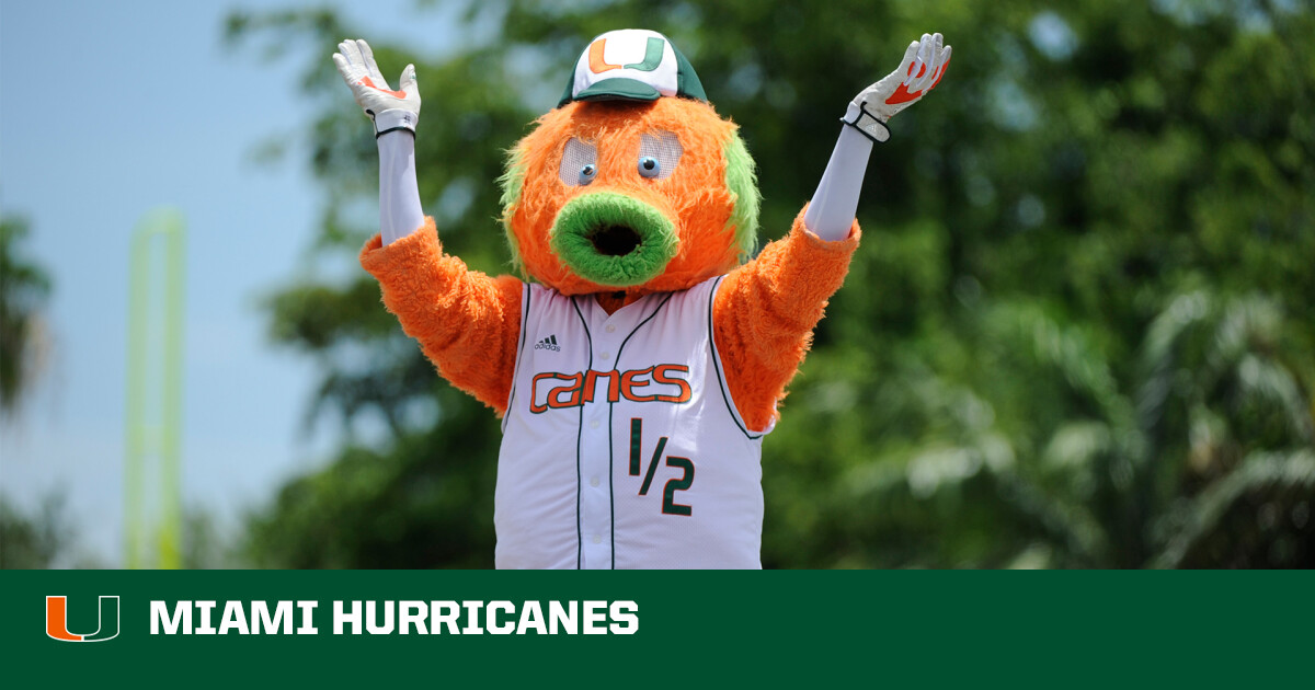 The wild remained consistent with winning records over the next three seasons, but the team was not able to make the playoffs. Miami Hurricanes Mascot . Birth Of A Maniac University Of Miami Athletics