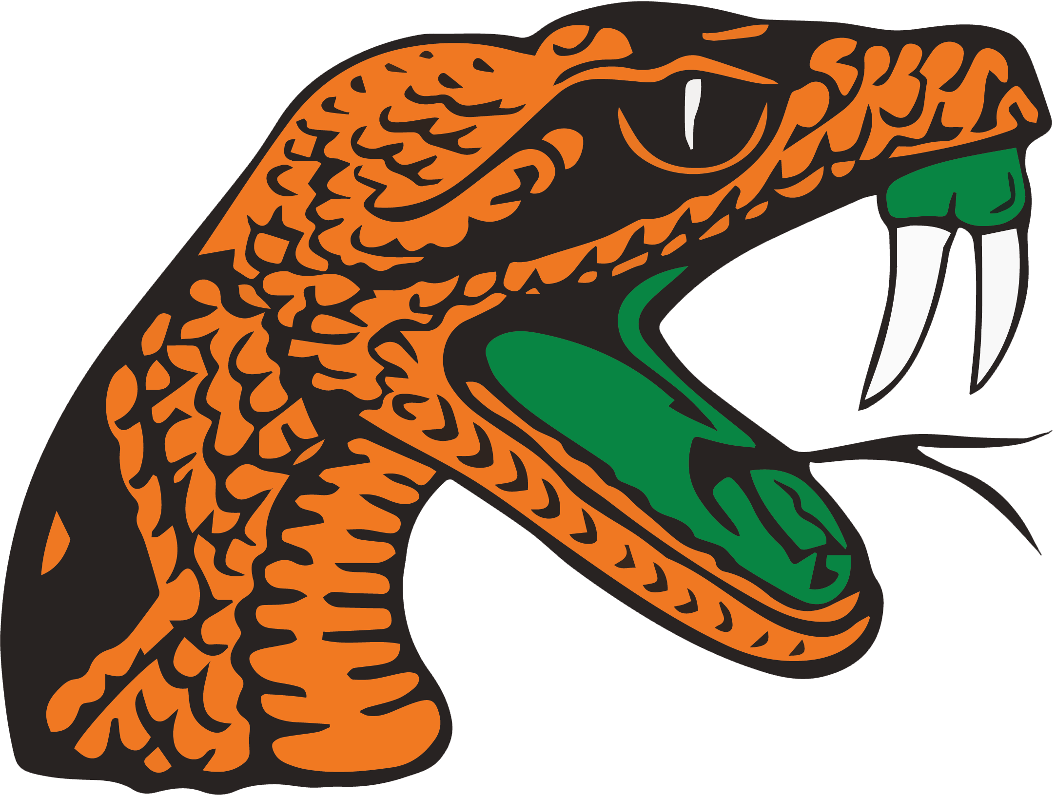 University of Miami Athletics