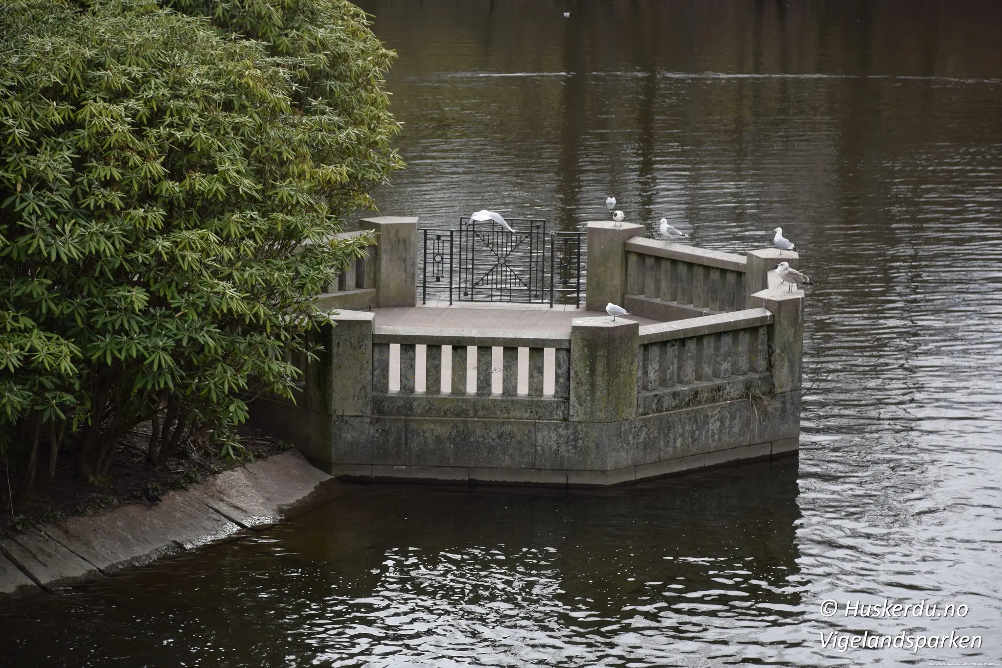 Vannspeil og fugler ved Vigelandsparken En stille og stemningsfull plass med utsikt over vannet, perfekt for en rolig pause. Foto: © Huskerdu.no – Vigelandsparken