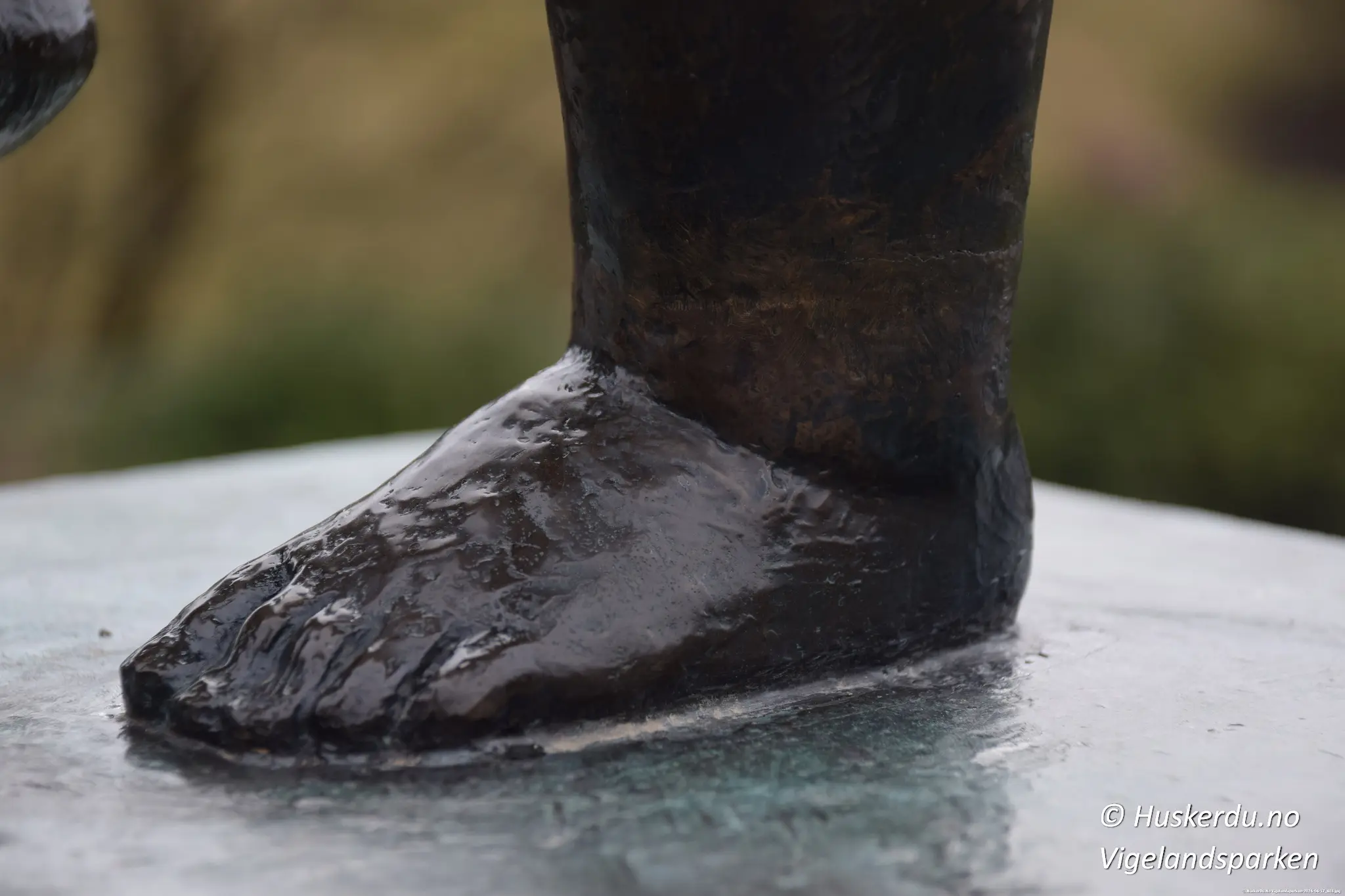 Sinnataggen – En av Norges mest kjente skulpturer Sinnataggen er en ikonisk bronsestatue i Vigelandsparken i Oslo, skapt av Gustav Vigeland. Skulpturen viser en liten gutt med et bestemt og sint uttrykk, kjent for å symbolisere barnets følelser og trass. Figuren er blitt et av de mest populære motivene i parken og et yndet fotosted for turister fra hele verden. Detaljbilder viser hånden og foten til Sinnataggen, som har blitt skåret av flere ganger gjennom historien, men alltid restaurert til sin opprinnelige form. Skinnende partier på statuen avslører hvor tusenvis av besøkende har berørt den i årenes løp, spesielt hånden, som er blitt et symbol på lykke. Sinnataggen står som en sterk representasjon av menneskelige følelser og en viktig del av Vigelands livsverk. Foto: © Huskerdu.no