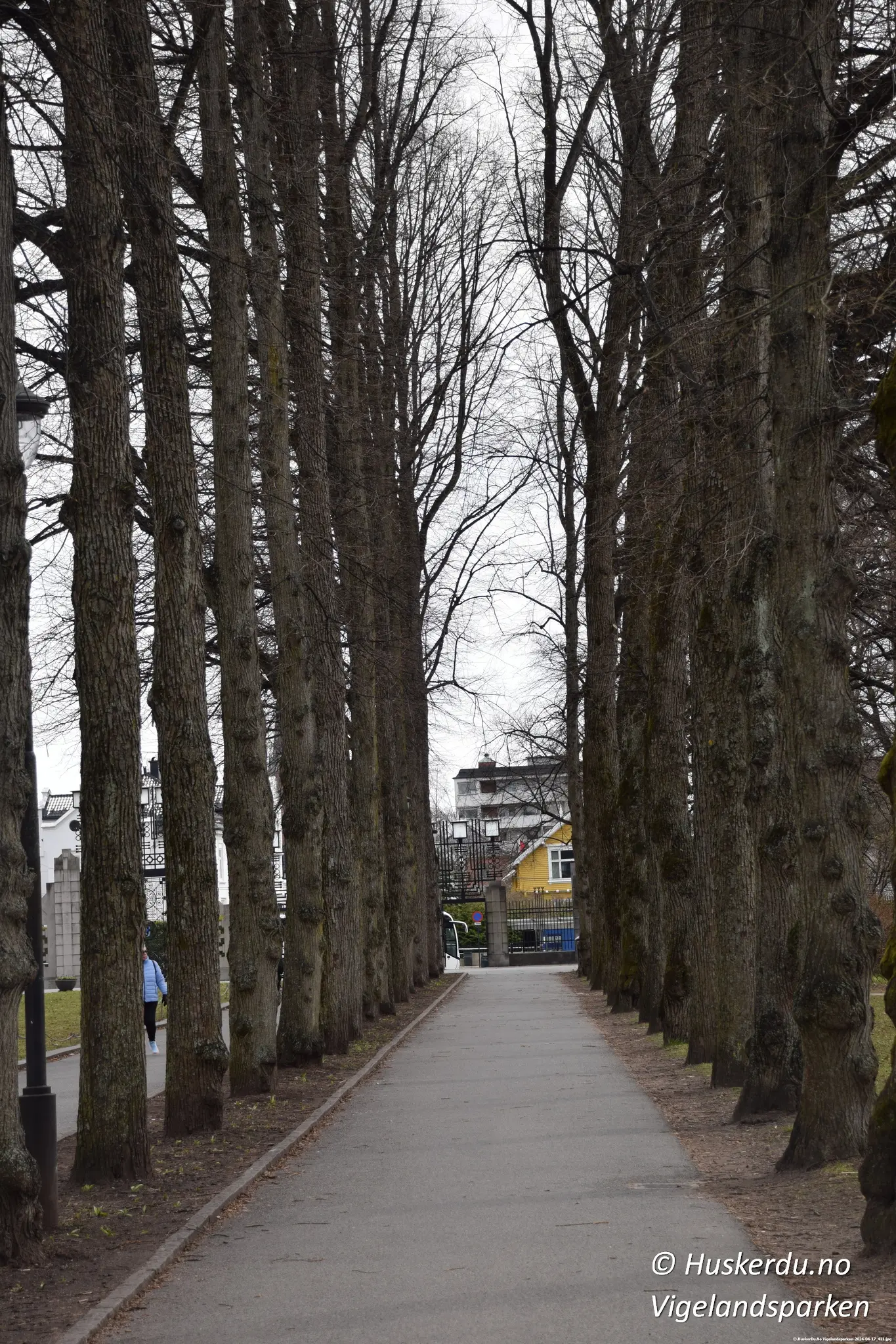 Velkommen til Vigelandsparken – En allé av inntrykk Denne majestetiske alléen møter besøkende når de trer inn gjennom hovedportalen i Vigelandsanlegget. Trerekken skaper en naturlig ramme og leder blikket innover mot parkens mange kunstneriske høydepunkter. Langs denne stien åpner landskapet seg, og gir rom for ro og refleksjon før man møter de ikoniske skulpturene som har gjort parken verdensberømt. Til venstre, like innenfor porten, ligger Frognerborgen lekeplass – et populært stopp for barnefamilier som kombinerer kunst og lek. Vigelandsparken byr på en unik kombinasjon av natur, kunst og historie og inviterer til både korte spaserturer og lengre oppdagelsesferder blant skulpturene. Foto: © Huskerdu.no