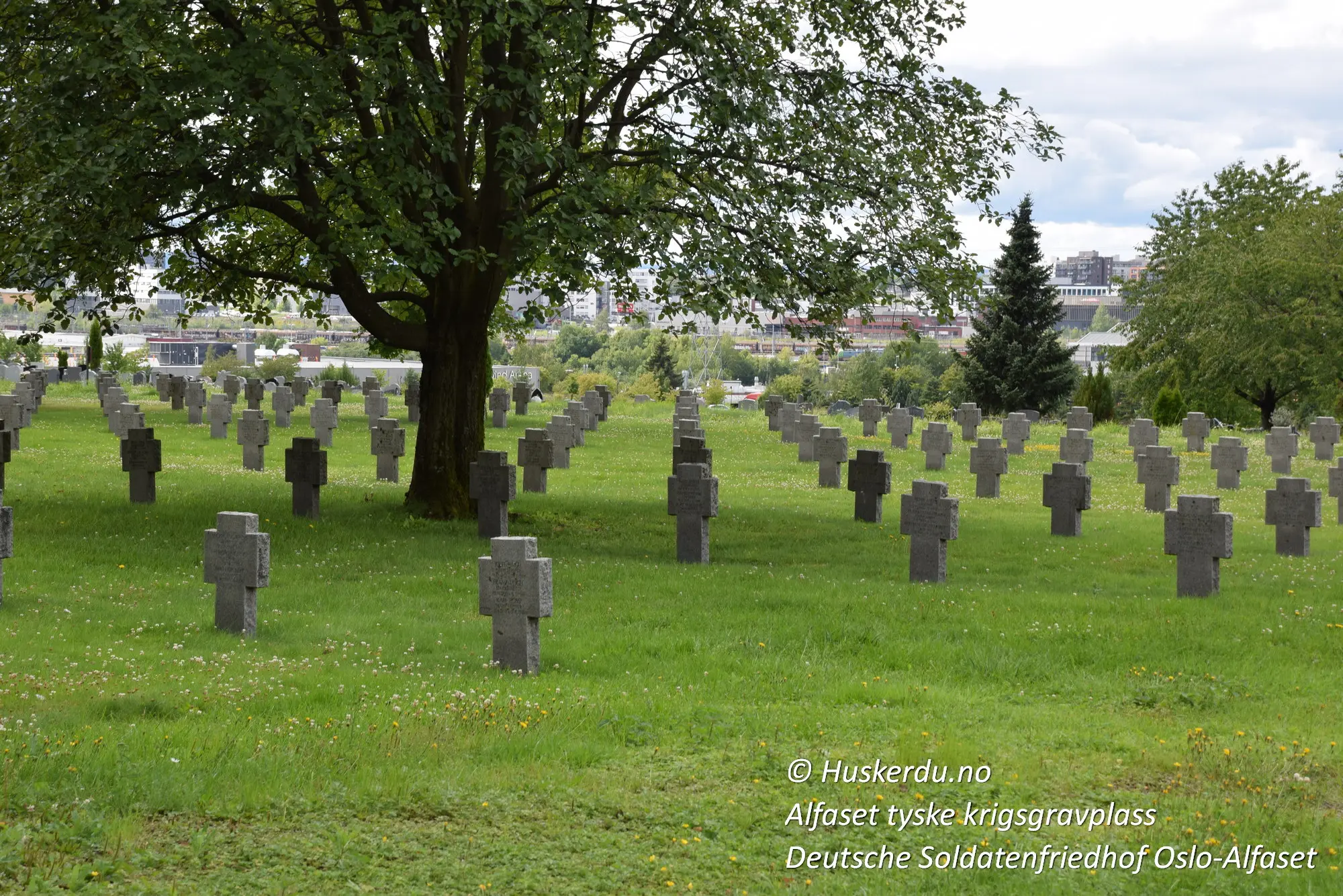 🌳⚰️ Alfaset tyske krigsgravplass ⚰️🌳 Under Alfaset tyske krigsgravplass finner vi et stille minne over krigens mørke kapittel. Hver stein markerer seks soldater – tre på hver side. Med sine tusenvis av graver, gir gravplassen en dyp følelse av ettertanke og respekt. Dette er et sted hvor historien hviler i fred og minner oss på viktigheten av fred og forståelse. Foto: © Huskerdu.no alfaset-tyske-krigsgravplass-soldatgraver-oslo Alfaset tyske krigsgravplass – Gravminner og fred Oslo, Alfaset, krigsgravplass, Deutsche Soldatenfriedhof, tyske graver, soldater, minne, historisk sted