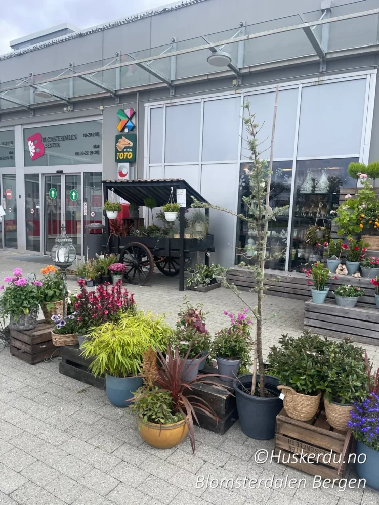 🏬🌷 Blomsterdalen i Bergen 🌷🏬 Blomsterdalen er et sjarmerende knutepunkt i Bergen, perfekt for både shopping og avslapning. Her finner du alt fra lokale blomsterutsalg og matboder til moderne butikker og hyggelige torg. Dette er et ideelt sted for turister som ønsker å oppleve en smak av hverdagslivet i Bergen, med en blanding av lokal kultur og et internasjonalt preg. Ta deg tid til å utforske områdets mange tilbud, og nyt den vennlige atmosfæren som preger Blomsterdalen. Foto: © Huskerdu.no Blomsterdalen Bergen – Shopping, Kultur og Blomster Bergen, Blomsterdalen, Blomsterdalen Senter, Blomsterdalensenteret, Bergen Shopping, Lokalt Bergen, Senter i Bergen, Matboder Bergen, Lokalbutikk Bergen