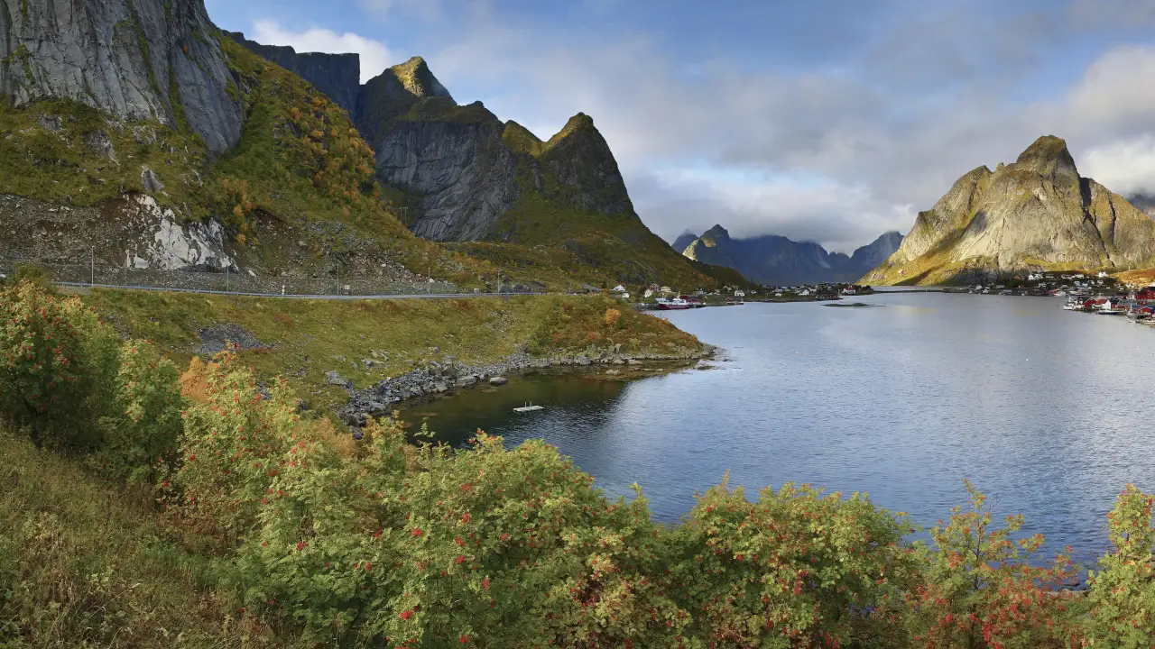 Høstfarger ved Reinefjorden 🍂 En stille høstdag i Reine, med lave skyer og gyllent lys over Reinefjorden. I forgrunnen står rognebærtrær i full høstdrakt, og bak dem åpner landskapet seg mot fjellene og det klassiske fiskeværet med rorbuer og brygger. Veien til Reine følger fjellet tett, og hele bukten ligger rolig mellom bratte tinder. Et bilde som fanger både årstiden og særpreget til Moskenes kommune. Foto: Simo Räsänen, CC BY-SA 3.0 https://creativecommons.org/licenses/by-sa/3.0 https://commons.wikimedia.org/wiki/File:Reine_at_Reinefjorden,_2010_September.jpg reine-reinefjorden-host-rognebaer-moskenes-lofoten Reinefjorden – Høststemning ved Reine og fjell reine, reinefjorden, moskenes, lofoten, host, rognebær, fiskevær Moskenes kommune