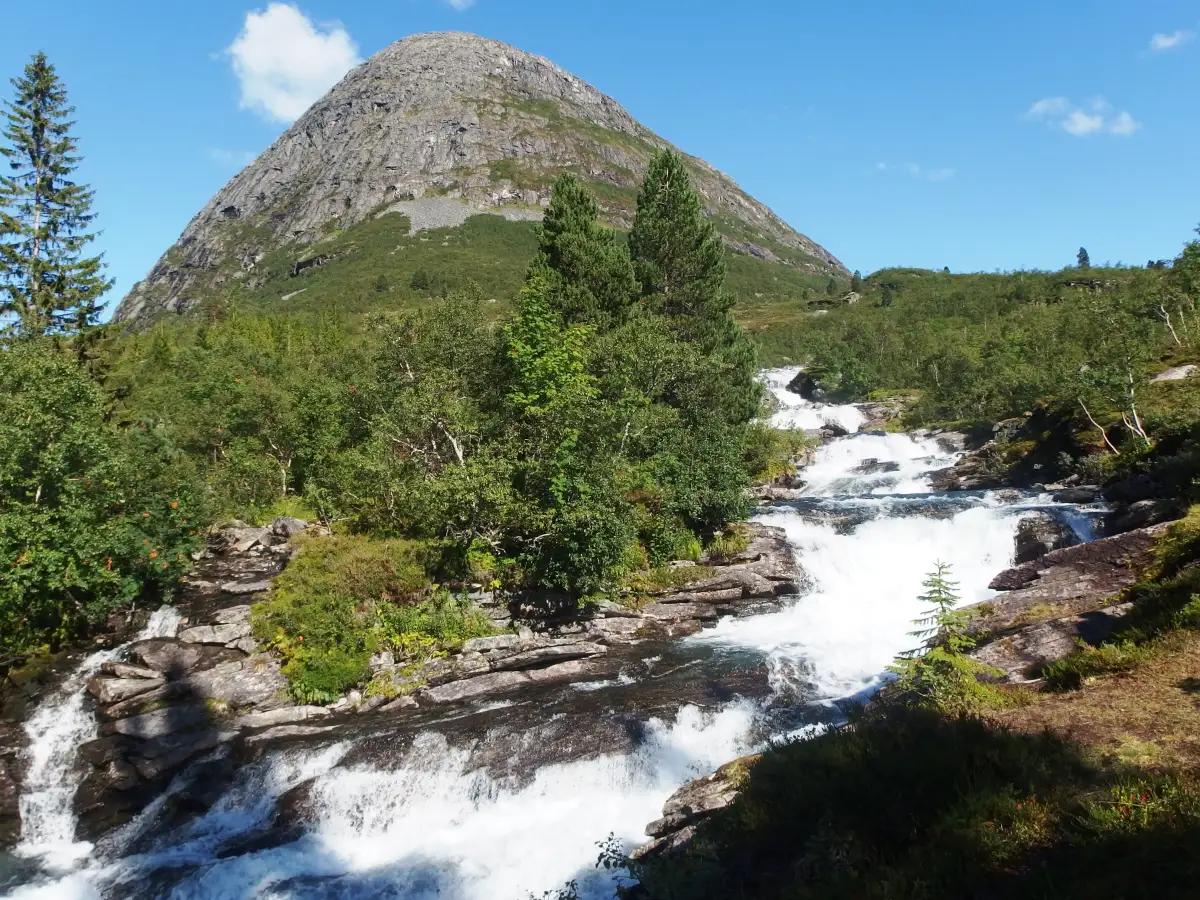 Fossefall i Valldal 🍃 Elva Valldøla snor seg gjennom dalføret og byr på fleire flotte fossefall som dette, omgitt av frodig vegetasjon og bratte fjellsider. I bakgrunnen reiser fjellet Ormula seg som eit kjent landemerke nord for sentrum av Valldal. Dalen er eit populært utgangspunkt for både fotturar, padling og toppturar. Dette partiet ligg på veg opp mot Reinheimen nasjonalpark og er lett tilgjengeleg for turistar som følgjer turistvegen mellom Geiranger og Trollstigen. Foto: Palickap, CC BY-SA 4.0 https://creativecommons.org/licenses/by-sa/4.0 https://commons.wikimedia.org/wiki/File:Valldal_(1).jpg foss-og-ormula-i-valldal Foss og fjell ved Ormula i Valldal valldal, valdall, valdal, ormola, ormúla, foss, fjell, fossefall, elv Fjord kommune