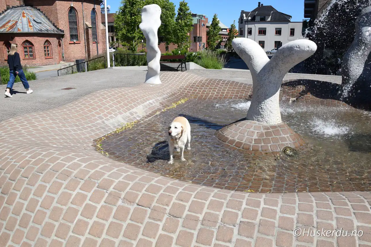 💦 Fontenen ved rådhuset Midt i byens hjerte renner vannet fra den moderne fontenen ved Sarpsborg rådhus. På varme dager stopper både barn og hunder opp her for å kjøle seg ned mens folk passerer mellom butikker og kontorer. Området gir et åpent og sosialt byrom der vann, kunst og liv møtes. Foto: © Huskerdu.no sarpsborg-radhus-20-jun-24_033-huskerdu Fontenen ved Sarpsborg rådhus – Møteplass i sentrum Sarpsborg, Sarpsborg rådhus, Sarpsborg sentrum, torget i Sarpsborg, byliv Sarpsborg, Østfold Sarpsborg kommune