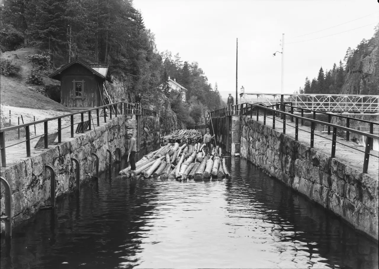 Tømmer føres i bunter gjennom Vrangfoss sluse i Telemarkskanalen. Fløterne styrer stokkene mens vannet hjelper dem videre i transportløpet.