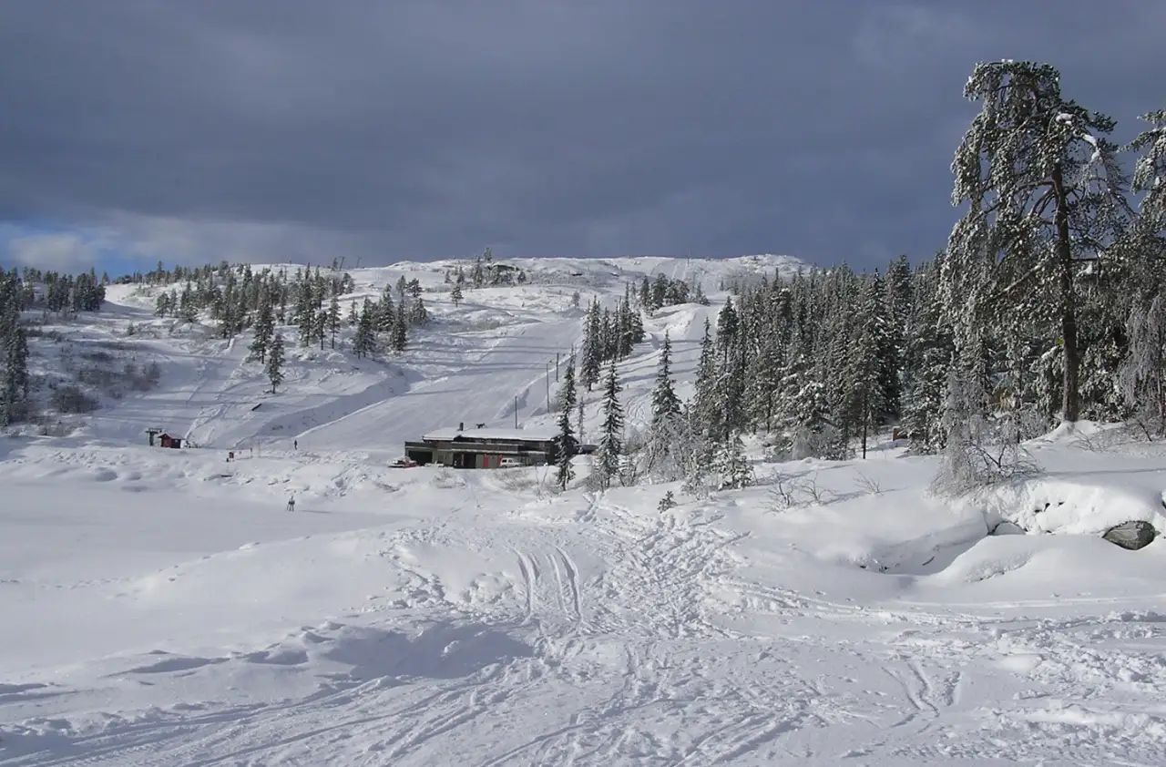 Fagerfjell skisenter en vinterdag med bakker, skog og preparerte områder i Flesberg.